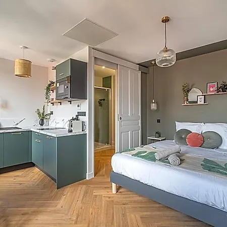 Hotel Felix Appart'Hotel - Climatisation, Arrivee Autonome, Centre De Romans Sur Isere 3*